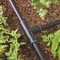 Raindrip Raindrip .710 in. Compression Drip Irrigation Tee 1 pk 349G00UB - alternate 2